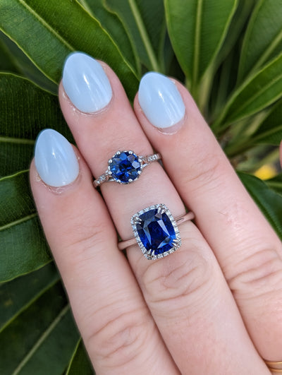 Lustrous Journey of Sapphire: Heated vs. Unheated