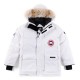 Canada Goose Expedition Parka 【white】