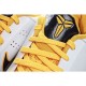 Nike Zoom Kobe basketball shoes