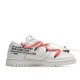 Nike SB Dunk OFF-WHITE Low-Top Sneakers