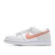 Nike Dunk SB Low Sneakers