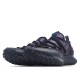 Nike ACG Mountain Fly Low "Fossil Stone" Running Shoe