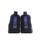 Air Jordan 12 Retro 'Dark Concord'