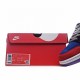 Nike Dunk Low SP "Viotech Low Top Sneakers"