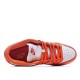 Nike Dunk SB Low Syracuse Low Top Sneakers